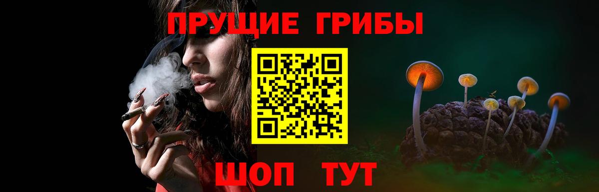 Галлюциногенные грибы MAGIC MUSHROOMS  Вход с VPN  Псилоцибиновые грибы GOLDEN TEACHER  Иваново 